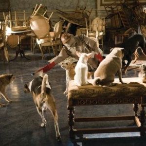 Foto Um Hotel Bom pra Cachorro