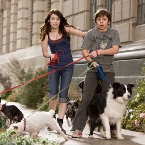 Foto Um Hotel Bom pra Cachorro