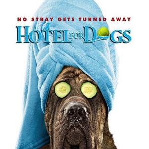 Foto Um Hotel Bom pra Cachorro