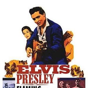 Foto Estrela de Fogo