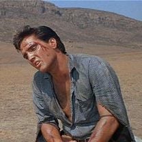 Foto Estrela de Fogo