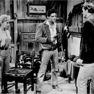 Foto Estrela de Fogo