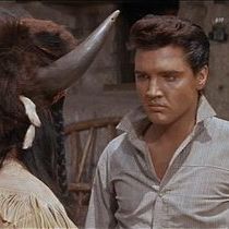 Foto Estrela de Fogo