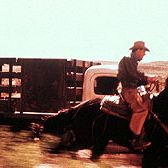 Foto Espírito Selvagem