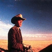 Foto Espírito Selvagem