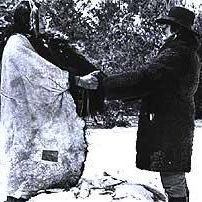 Foto O Grande Búfalo Branco