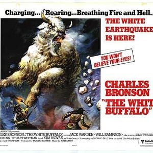 Foto O Grande Búfalo Branco