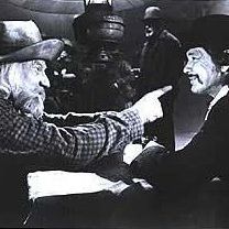 Foto O Grande Búfalo Branco