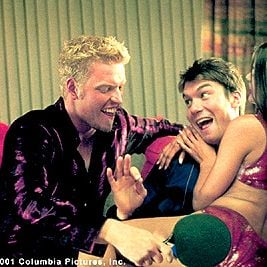 Foto Gatos Numa Roubada