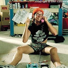 Foto Gatos Numa Roubada