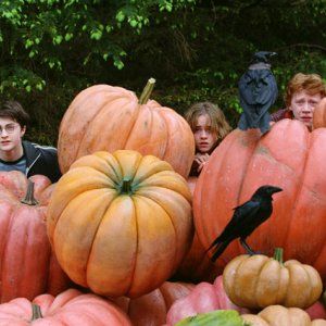 Foto Harry Potter e o Prisioneiro de Azkaban