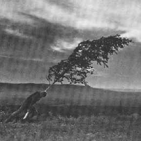 Foto A Fonte da Donzela