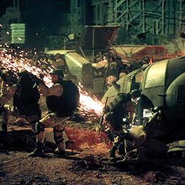 Foto Falcão Negro em Perigo