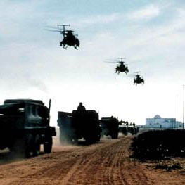 Foto Falcão Negro em Perigo