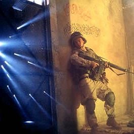 Foto Falcão Negro em Perigo