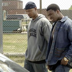 Foto Fique Rico ou Morra Tentando