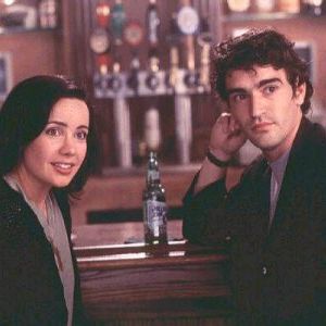 Foto Feito Cães e Gatos