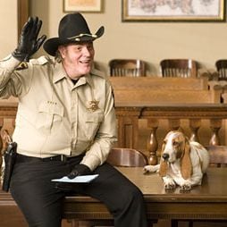 Foto Os Gatões - Uma Nova Balada