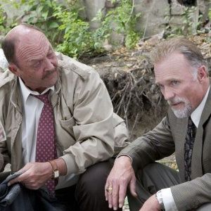 Foto Medo da Verdade