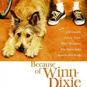 Foto Meu Melhor Amigo