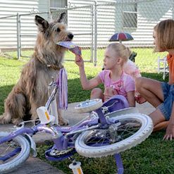 Foto Meu Melhor Amigo