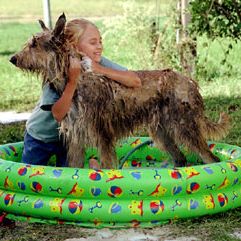 Foto Meu Melhor Amigo