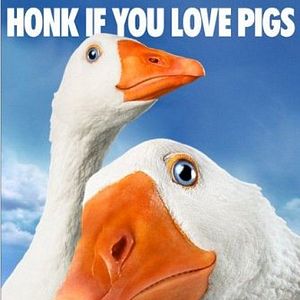 Foto A Menina e o Porquinho