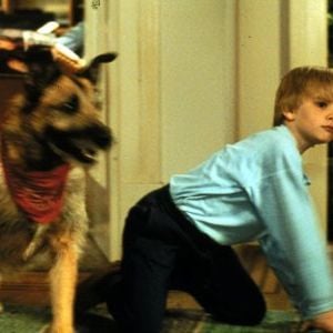 Foto Olha Quem Está Falando Agora