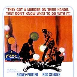 Foto No Calor da Noite