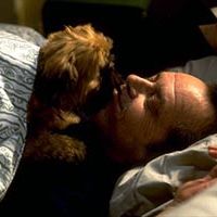 Foto Melhor É Impossível