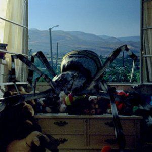 Foto Malditas Aranhas!