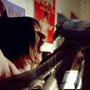 Foto Malditas Aranhas!