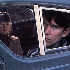 Foto Neve Sobre os Cedros