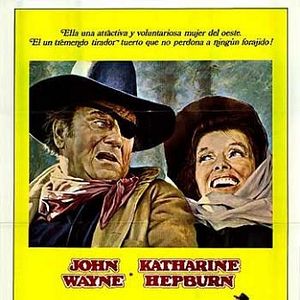 Foto Justiceiro Implacável