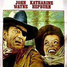 Foto Justiceiro Implacável