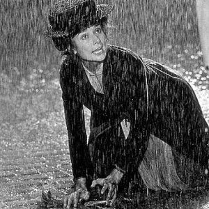 Foto Minha Bela Dama