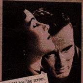 Foto Um Lugar ao Sol