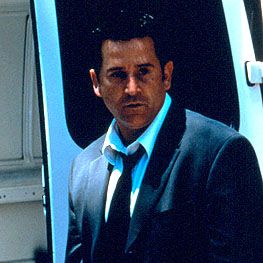 Foto A Floresta de Lantana