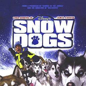 Foto Neve pra Cachorro