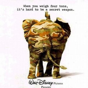 Foto Operação Dumbo