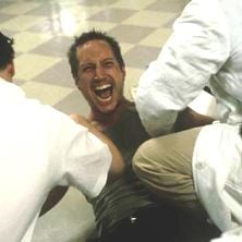 Foto A Princesa e o Guerreiro