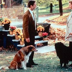 Foto Romance no Parque