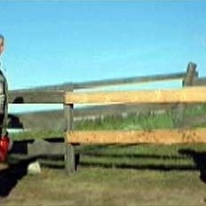 Foto Quando os Anjos Falam