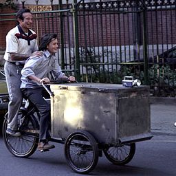 Foto Reflexos da Amizade