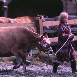 Foto Pânico no Lago