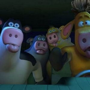 Foto O Segredo dos Animais