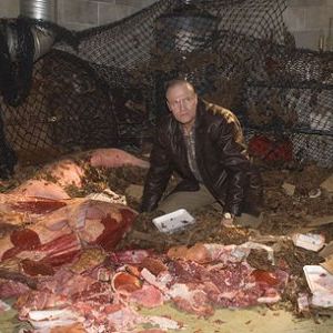 Foto Seres Rastejantes