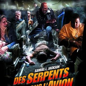 Foto Serpentes a Bordo