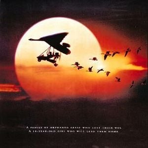 Foto Voando para Casa