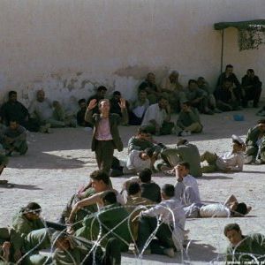 Foto O Tigre e a Neve